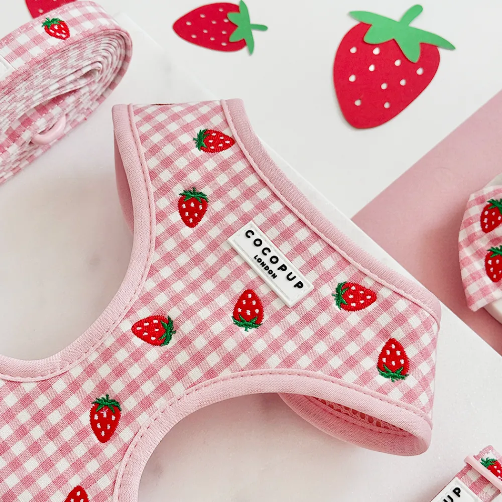 Cocopup Adjustable Neck Harnesses-Strawberry Picnic Pup Adjustable Neck HARNESS