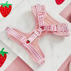Cocopup Adjustable Neck Harnesses-Strawberry Picnic Pup Adjustable Neck HARNESS