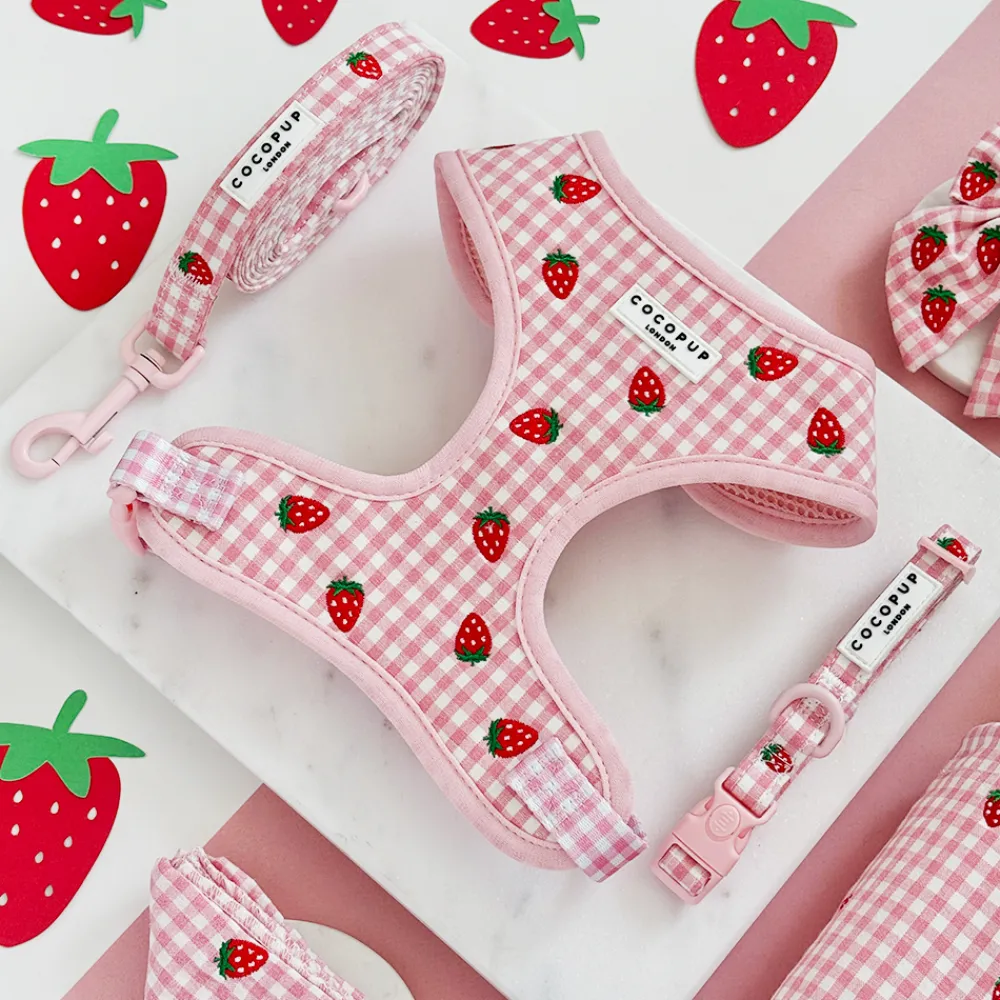 Cocopup Adjustable Harness Bundles-Strawberry Picnic Pup Adjustable Neck Harness, Lead & Collar Bundle