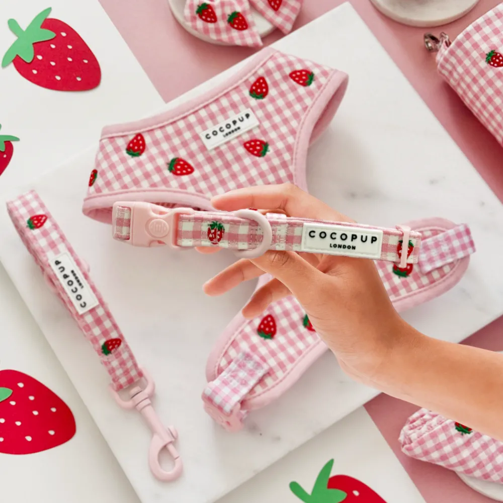 Cocopup Adjustable Harness Bundles-Strawberry Picnic Pup Adjustable Neck Harness, Lead & Collar Bundle