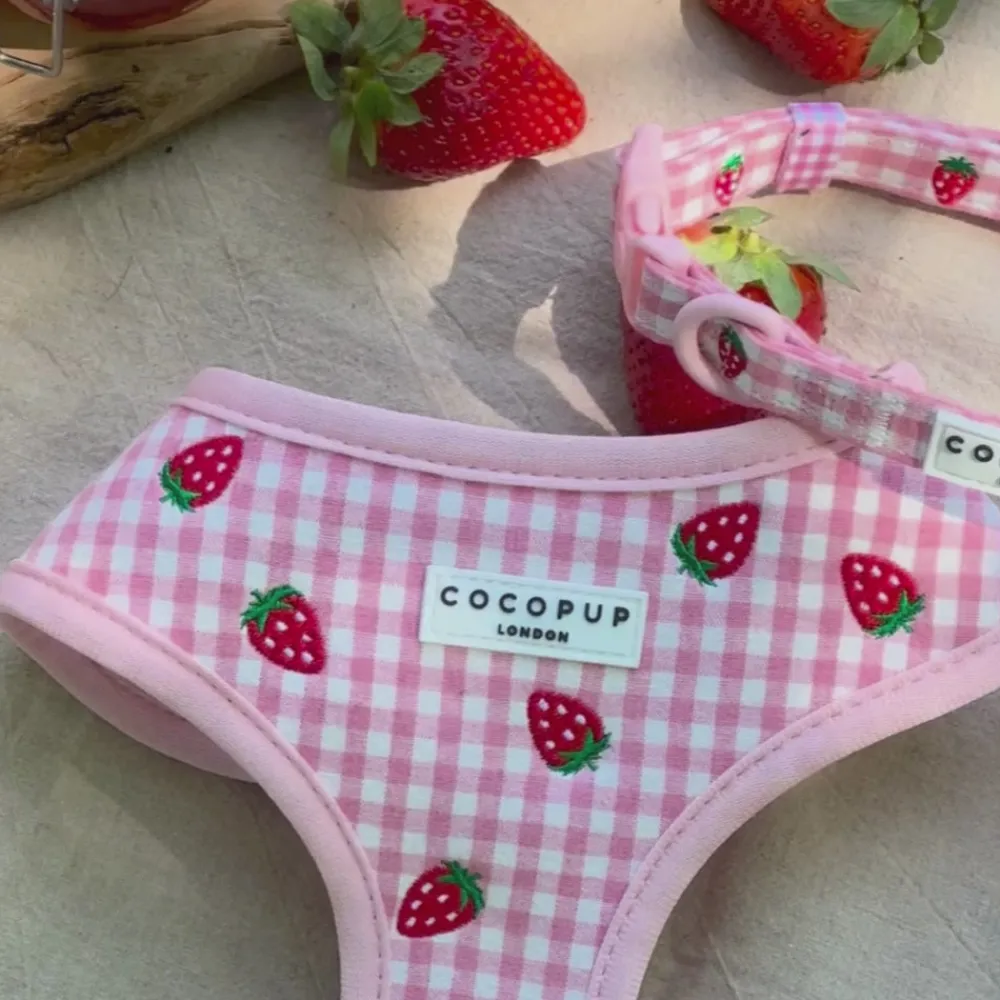 Cocopup Adjustable Neck Harnesses-Strawberry Picnic Pup Adjustable Neck HARNESS