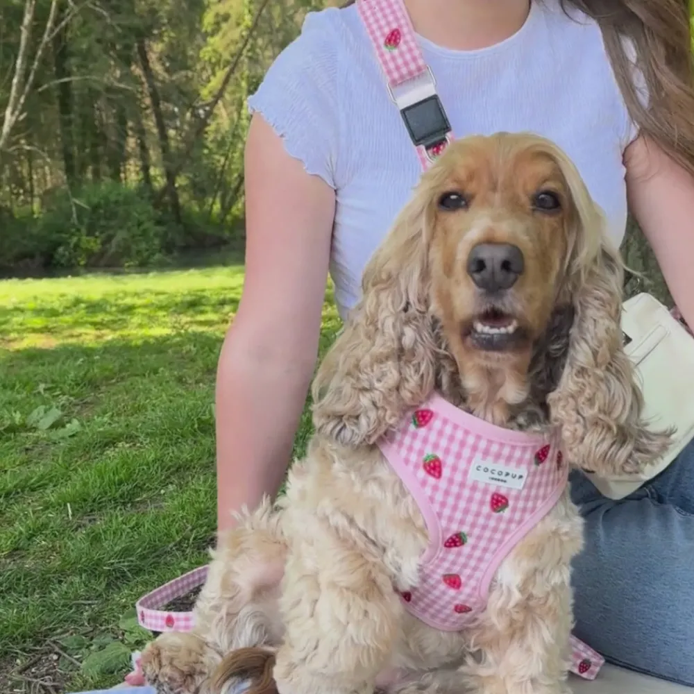 Cocopup Adjustable Neck Harnesses-Strawberry Picnic Pup Adjustable Neck HARNESS