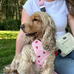 Cocopup Adjustable Neck Harnesses-Strawberry Picnic Pup Adjustable Neck HARNESS