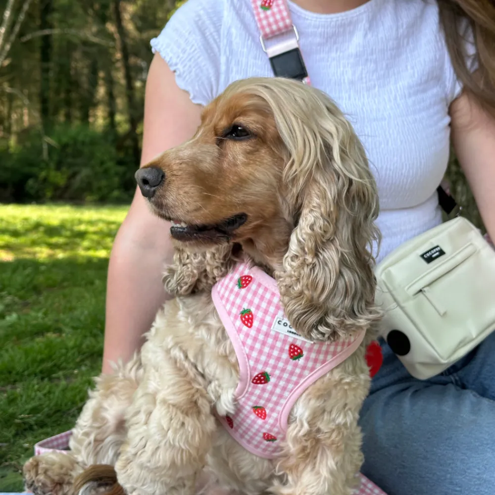 Cocopup Adjustable Neck Harnesses-Strawberry Picnic Pup Adjustable Neck HARNESS