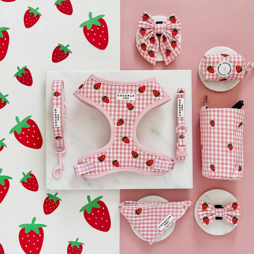 Cocopup Collars | Puppy Leads & Collars-Strawberry Picnic Pup COLLAR