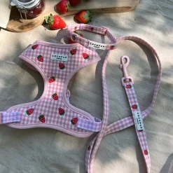 Cocopup Collars | Puppy Leads & Collars-Strawberry Picnic Pup COLLAR