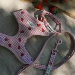 Cocopup Leads-Strawberry Picnic Pup Lead