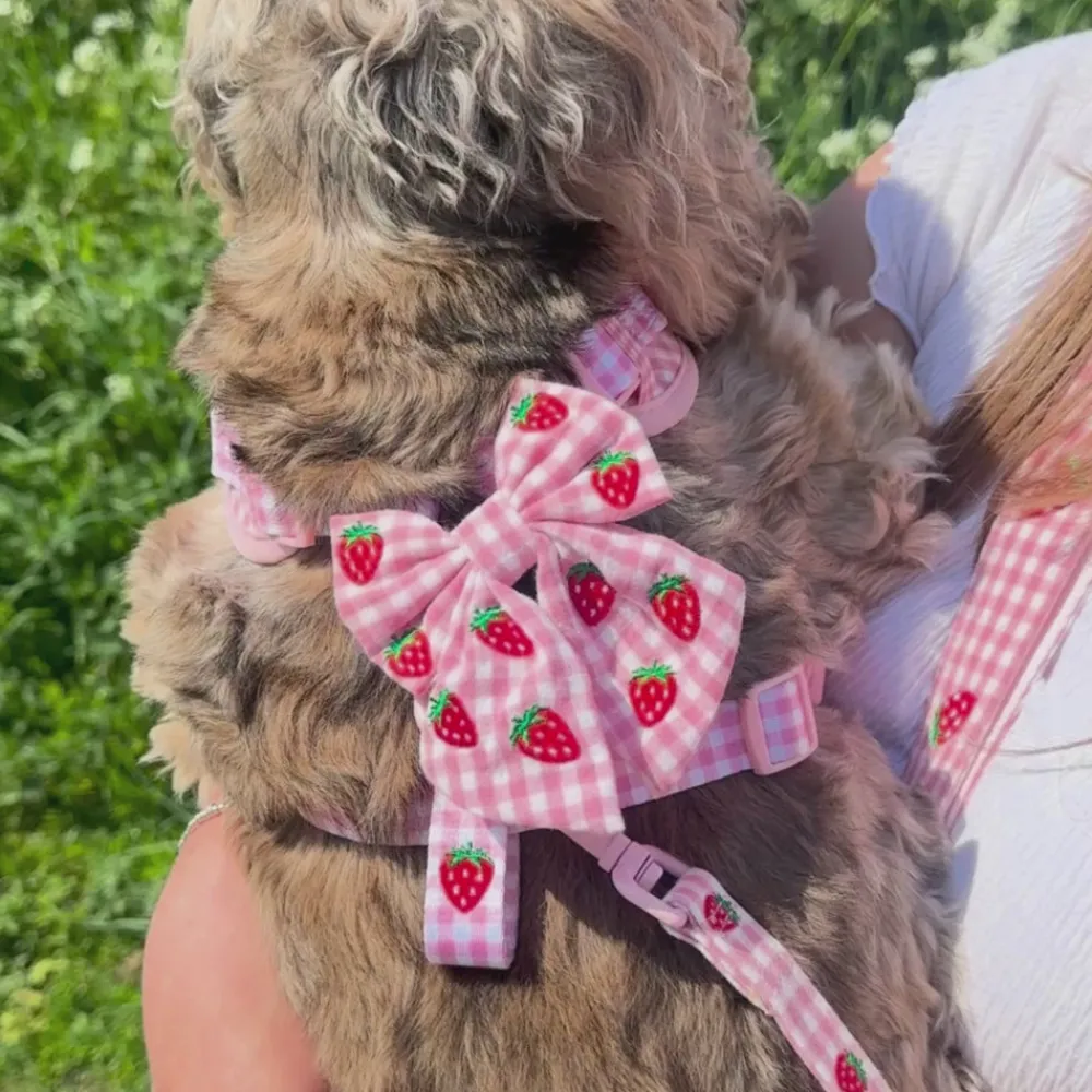 Cocopup Sailor Bow Ties-Strawberry Picnic Pup Sailor Bow Tie