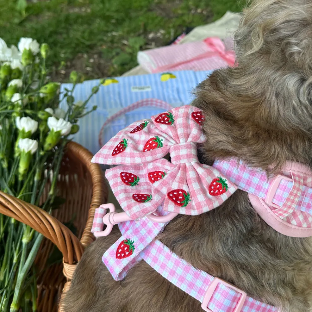 Cocopup Sailor Bow Ties-Strawberry Picnic Pup Sailor Bow Tie