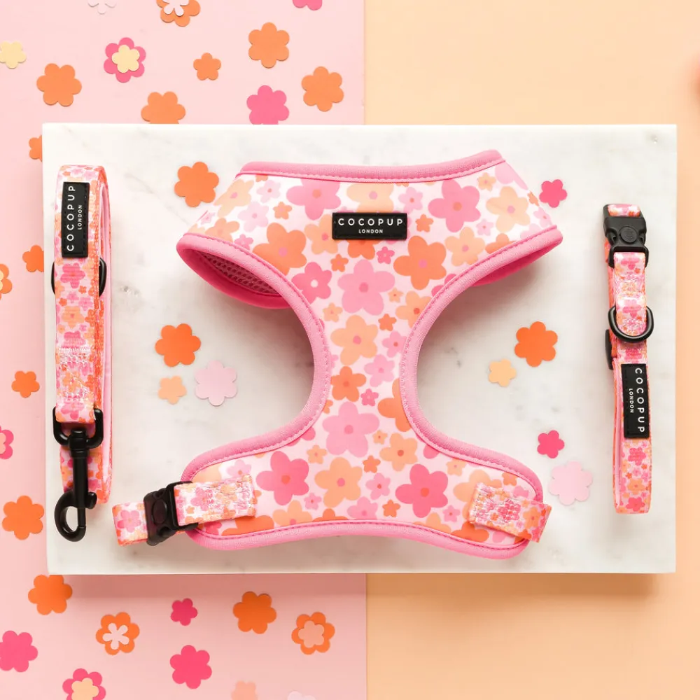 Cocopup Adjustable Harness Bundles-Summer Bloom Adjustable Neck Harness, Lead & Collar Bundle
