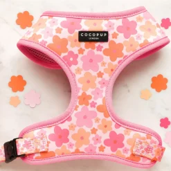 Cocopup Adjustable Neck Harnesses-Summer Bloom Adjustable Neck HARNESS