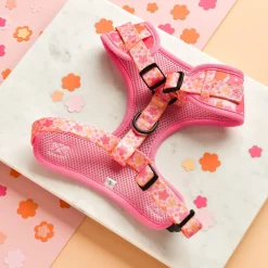 Cocopup Adjustable Neck Harnesses-Summer Bloom Adjustable Neck HARNESS