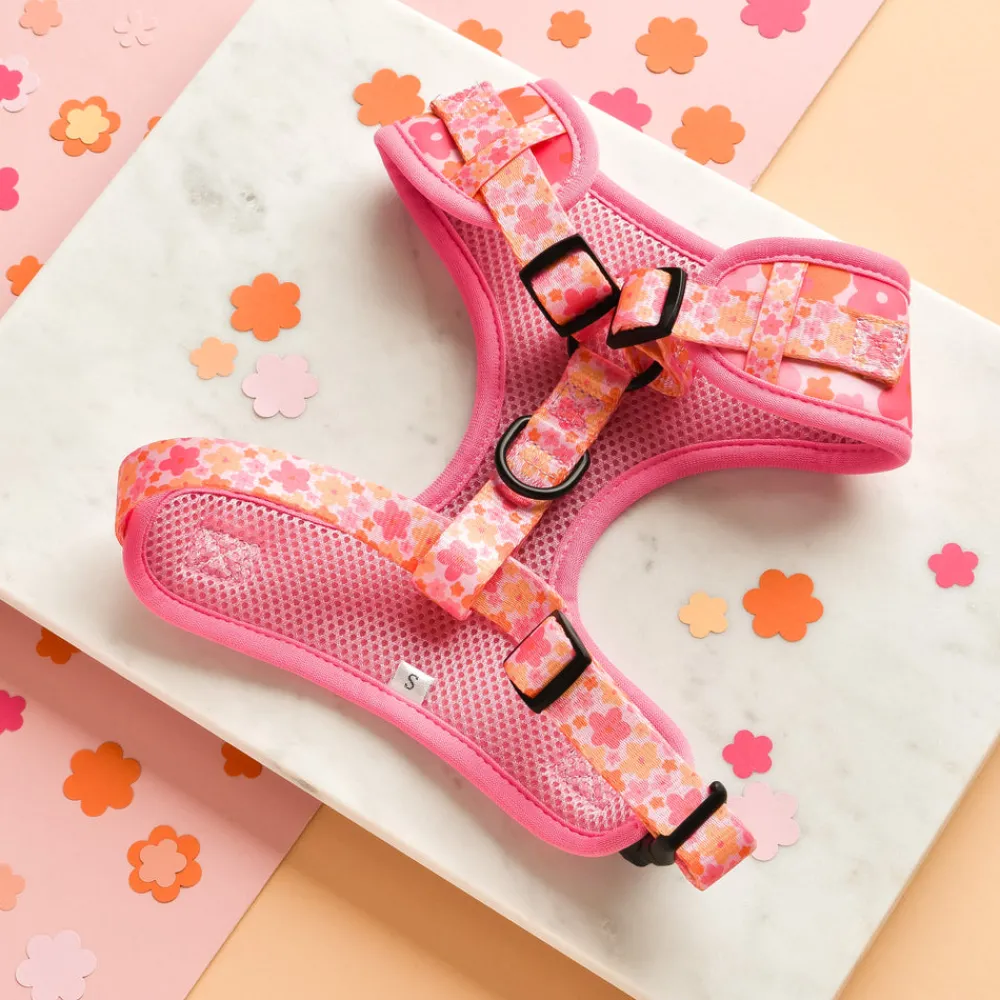 Cocopup Adjustable Neck Harnesses-Summer Bloom Adjustable Neck HARNESS