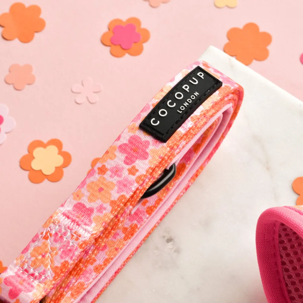 Cocopup Adjustable Harness Bundles-Summer Bloom Adjustable Neck Harness, Lead & Collar Bundle