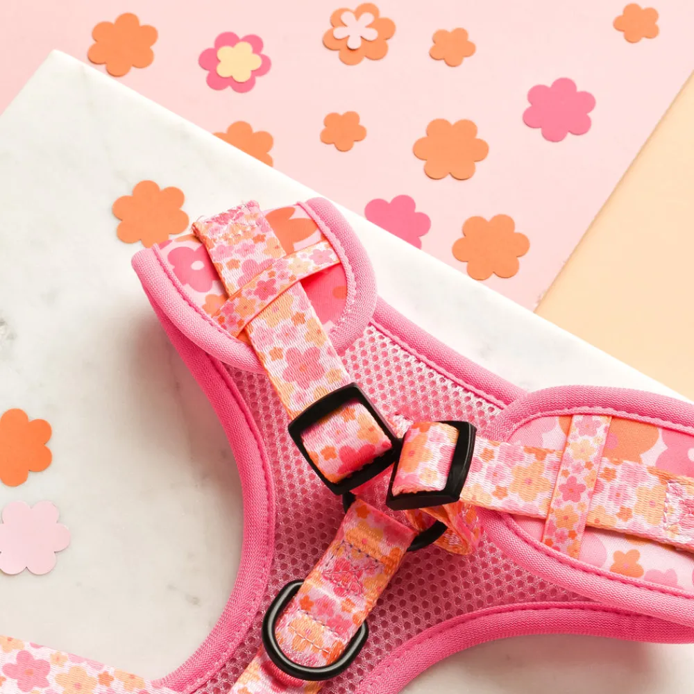 Cocopup Adjustable Neck Harnesses-Summer Bloom Adjustable Neck HARNESS