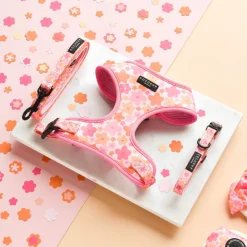 Cocopup Adjustable Harness Bundles-Summer Bloom Adjustable Neck Harness, Lead & Collar Bundle