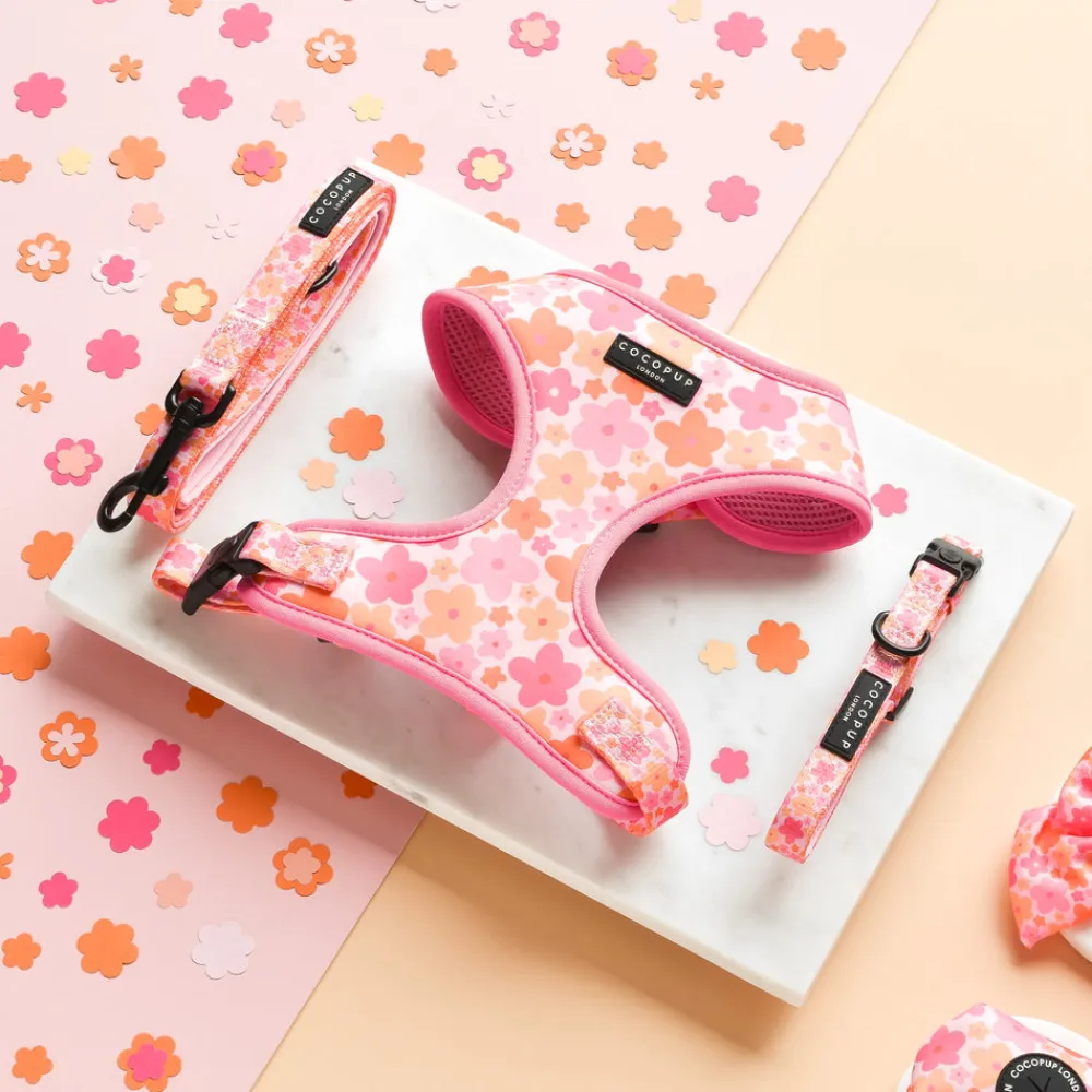 Cocopup Adjustable Harness Bundles-Summer Bloom Adjustable Neck Harness, Lead & Collar Bundle