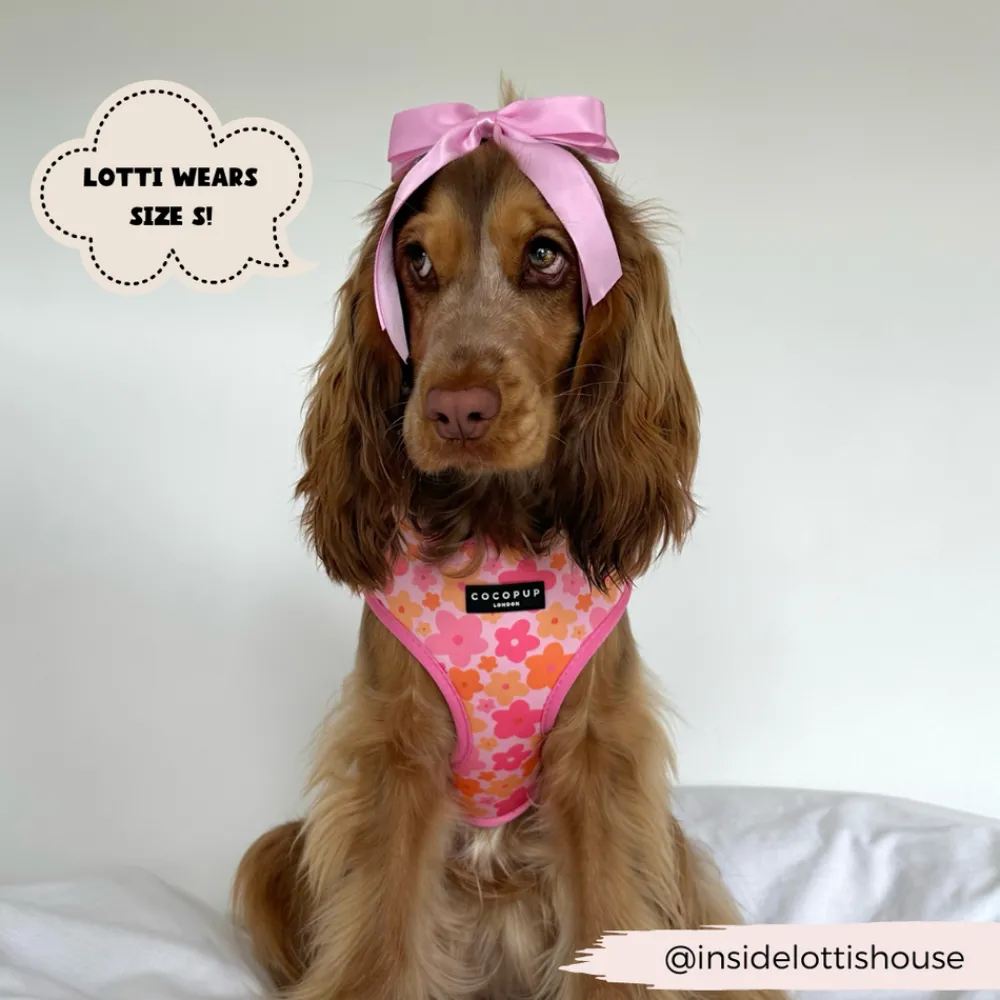 Cocopup Adjustable Neck Harnesses-Summer Bloom Adjustable Neck HARNESS