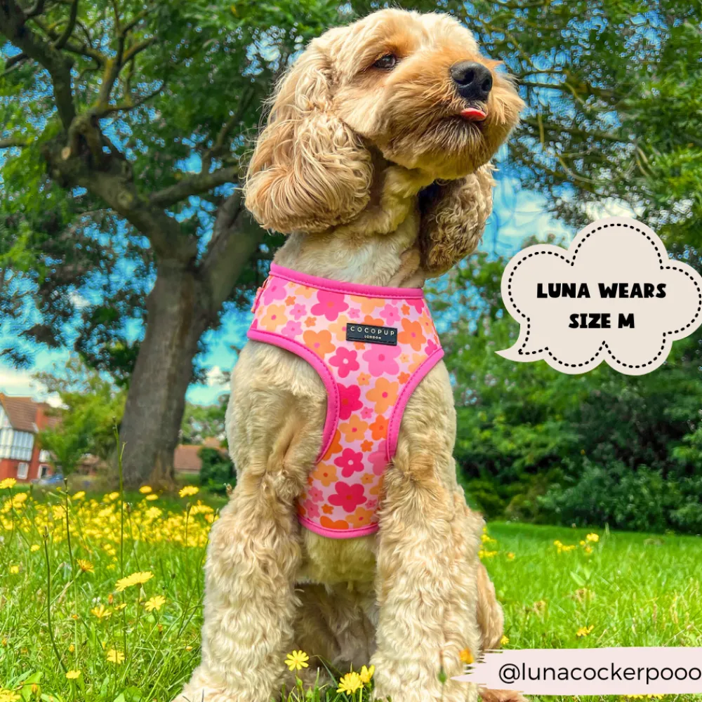 Cocopup Adjustable Neck Harnesses-Summer Bloom Adjustable Neck HARNESS