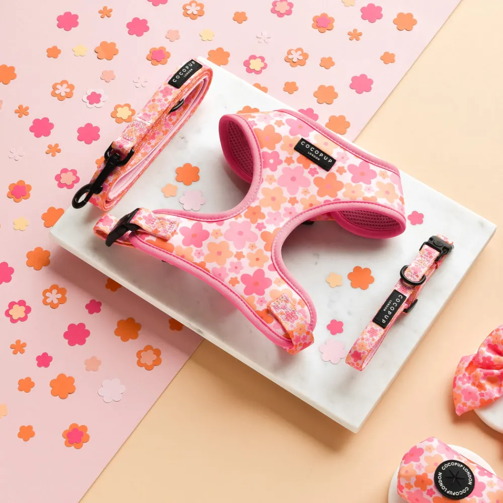 Cocopup Collars | Puppy Leads & Collars-Summer Bloom COLLAR