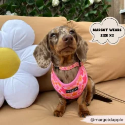 Cocopup Collars | Puppy Leads & Collars-Summer Bloom COLLAR