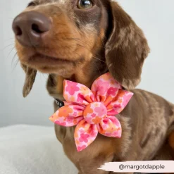 Cocopup Collar Flowers-Summer Bloom Collar Flower