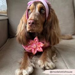 Cocopup Collar Flowers-Summer Bloom Collar Flower