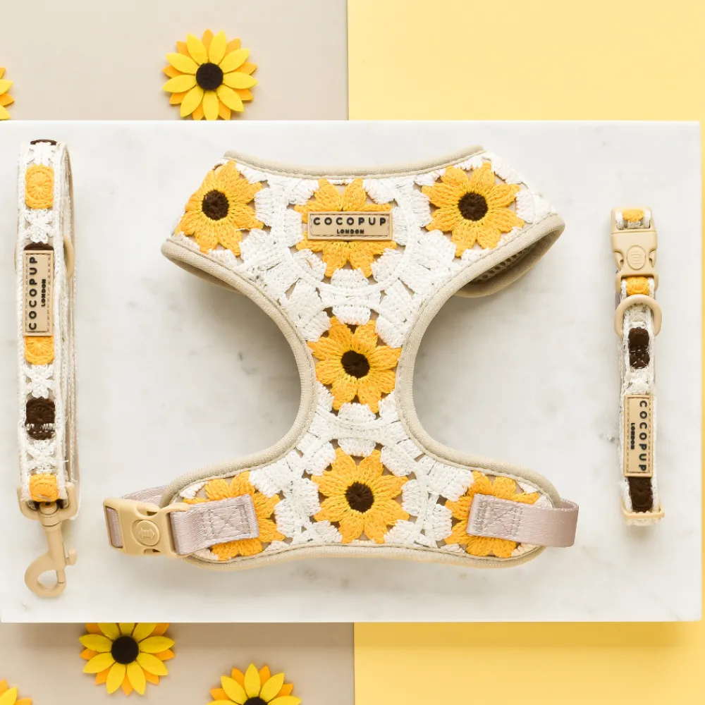 Cocopup Adjustable Harness Bundles-Sunflower Patch Adjustable Neck Harness, Lead & Collar Bundle