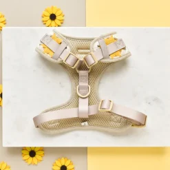Cocopup Adjustable Neck Harnesses-Sunflower Patch Adjustable Neck HARNESS
