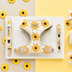 Cocopup Adjustable Neck Harnesses-Sunflower Patch Adjustable Neck HARNESS