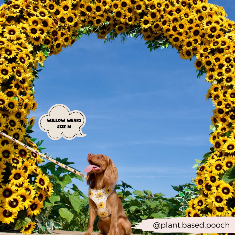 Cocopup Adjustable Neck Harnesses-Sunflower Patch Adjustable Neck HARNESS