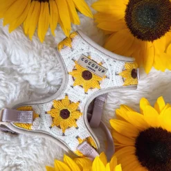 Cocopup Adjustable Neck Harnesses-Sunflower Patch Adjustable Neck HARNESS
