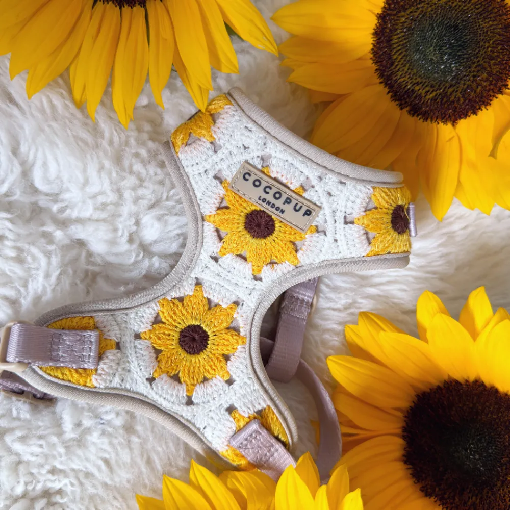 Cocopup Adjustable Neck Harnesses-Sunflower Patch Adjustable Neck HARNESS
