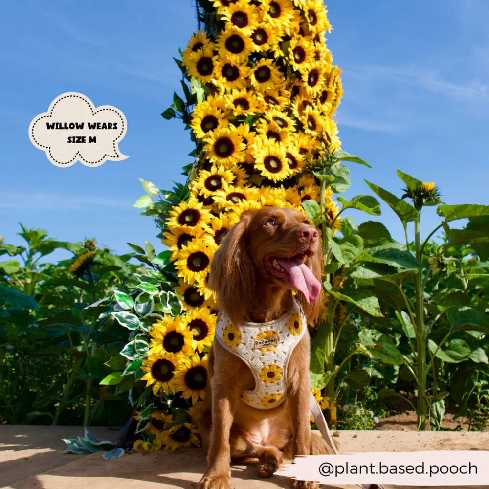 Cocopup Adjustable Harness Bundles-Sunflower Patch Adjustable Neck Harness, Lead & Collar Bundle