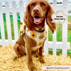 Cocopup Adjustable Neck Harnesses-Sunflower Patch Adjustable Neck HARNESS