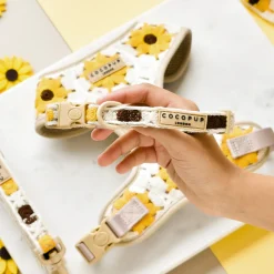 Cocopup Collars | Puppy Leads & Collars-Sunflower Patch COLLAR