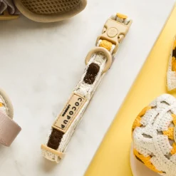 Cocopup Collars | Puppy Leads & Collars-Sunflower Patch COLLAR