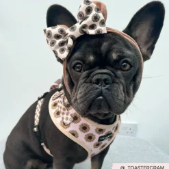 Cocopup Bow Ties-Sunflowers Bow Tie