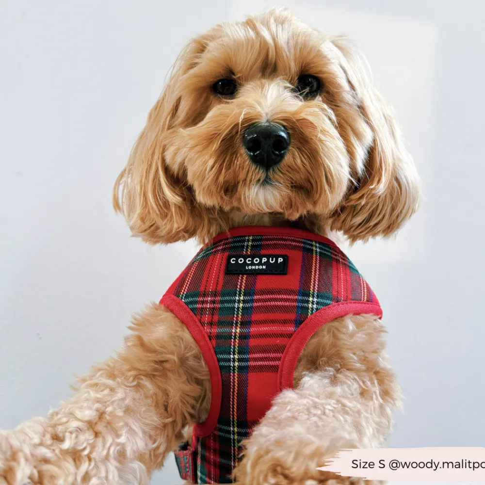 Cocopup Adjustable Neck Harnesses-Tartan Adjustable Neck HARNESS
