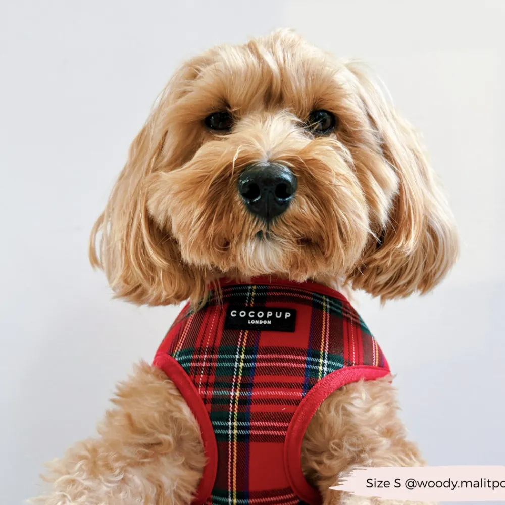 Cocopup Adjustable Harness Bundles-Tartan Adjustable Neck Harness, Lead & Collar Bundle