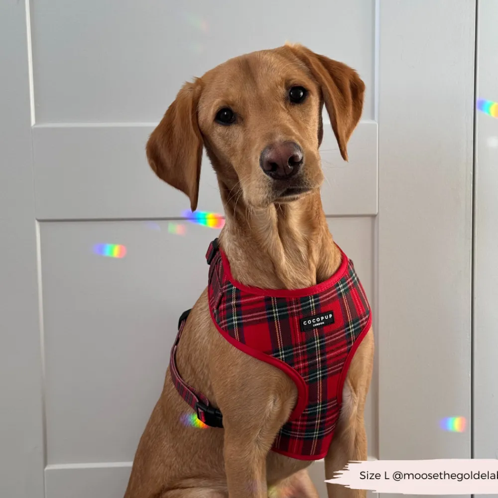 Cocopup Adjustable Neck Harnesses-Tartan Adjustable Neck HARNESS