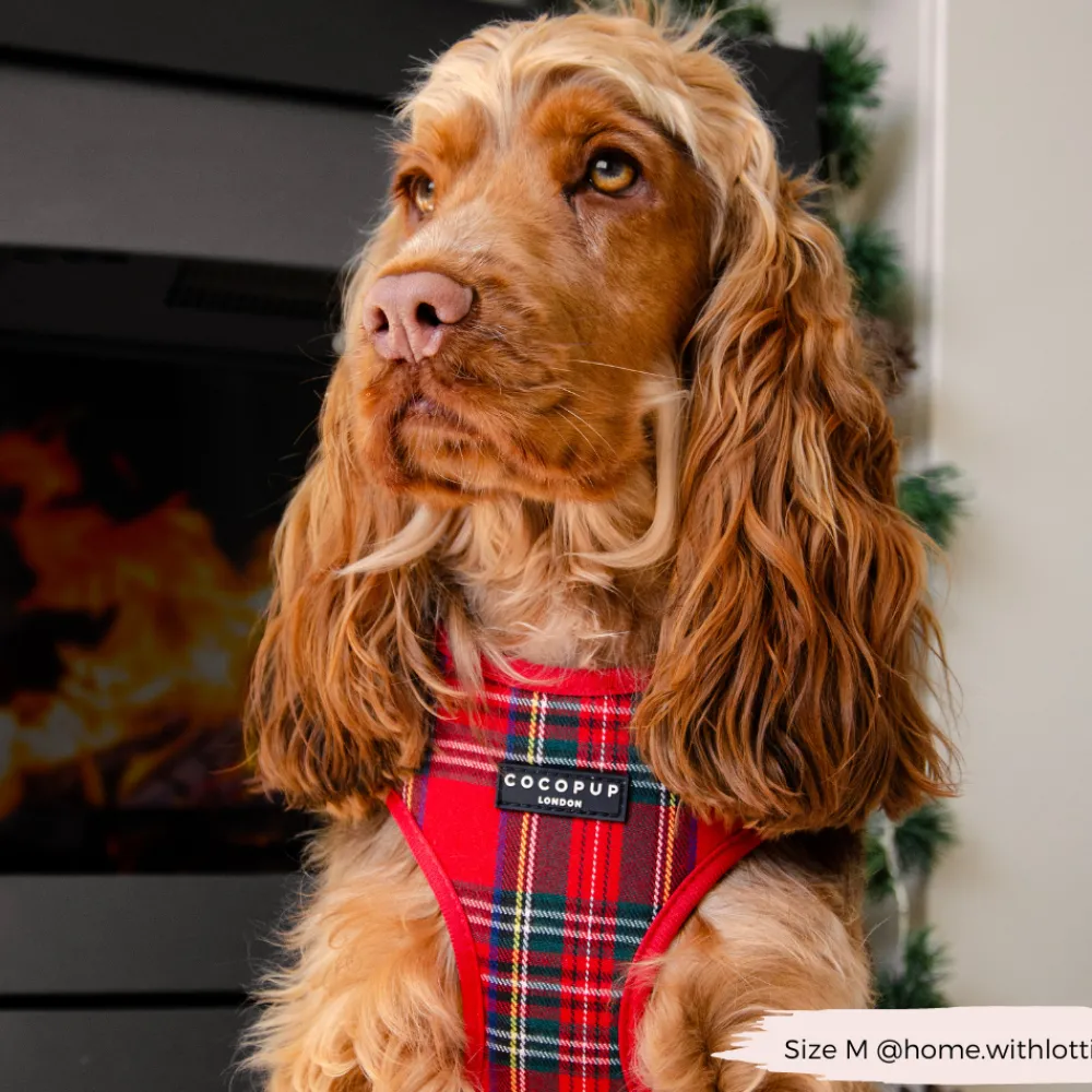 Cocopup Adjustable Harness Bundles-Tartan Adjustable Neck Harness, Lead & Collar Bundle
