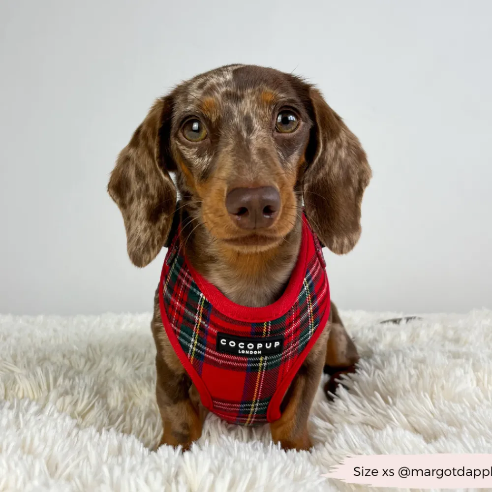 Cocopup Adjustable Neck Harnesses-Tartan Adjustable Neck HARNESS