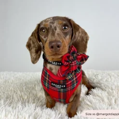 Cocopup Adjustable Harness Bundles-Tartan Adjustable Neck Harness, Lead & Collar Bundle