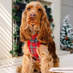 Cocopup Adjustable Neck Harnesses-Tartan Adjustable Neck HARNESS