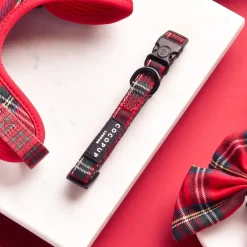 Cocopup Collars | Puppy Leads & Collars-Tartan COLLAR
