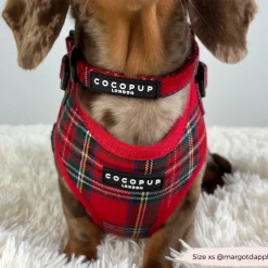 Cocopup Collars | Puppy Leads & Collars-Tartan COLLAR