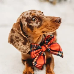 Cocopup Sailor Bow Ties-Tartan Sailor Bow Tie