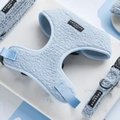 Cocopup Adjustable Neck Harnesses-Teddy Adjustable Neck HARNESS - Daydream