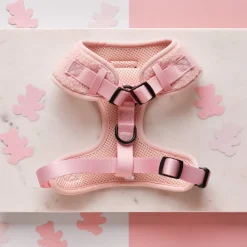 Cocopup Adjustable Neck Harnesses-Teddy Adjustable Neck HARNESS- Love-a-Lot